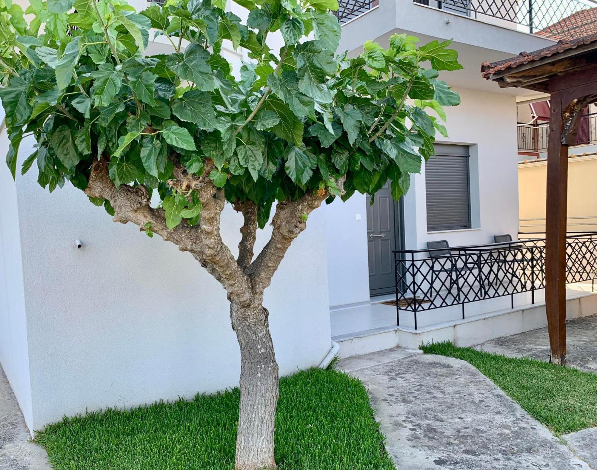 Lyria Boutique Lygia (Lefkada)